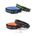 Pet Collar And Leash